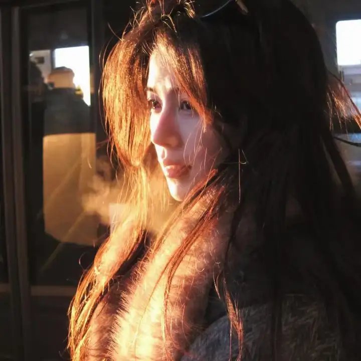 红尾鸽